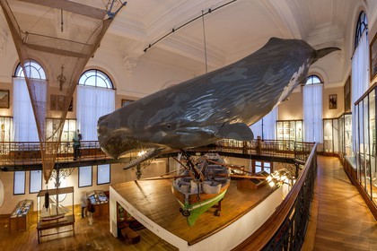 Musée Océanographique de Monaco