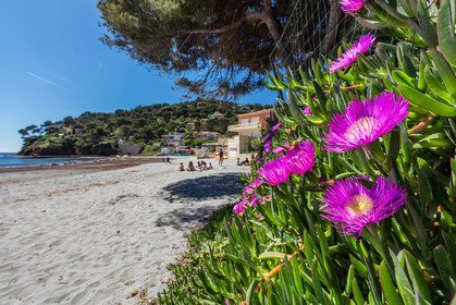 Plage de Fabrégas