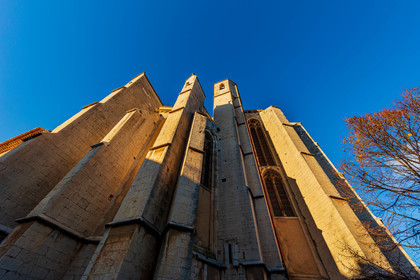 Saint-Maximin-la-Sainte-Baume