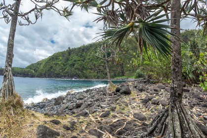 Ile de La Réunion