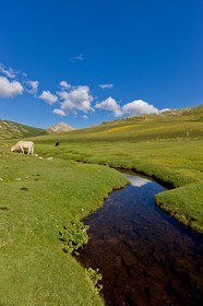 GR 20 Nord