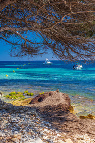 Lérins, Sainte-Marguerite
