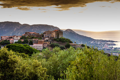 Pigna