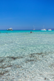 Saleccia