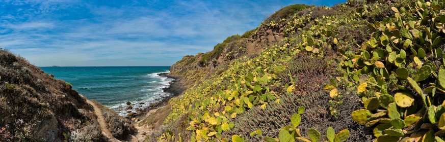 Cap Nègre
