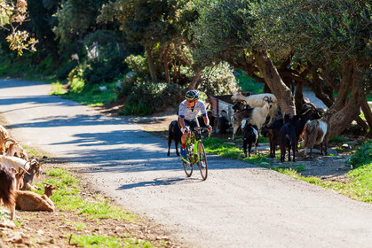 Bikingman Corsica 2019
