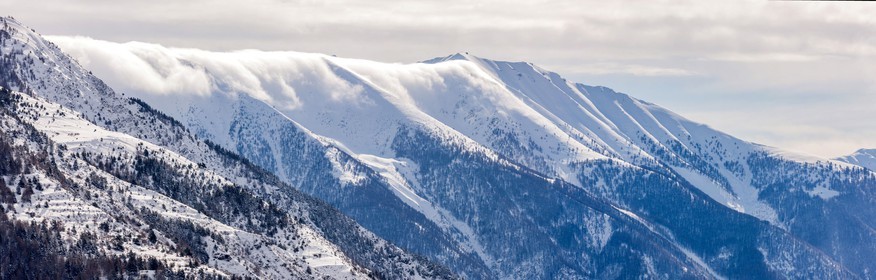 Auron
