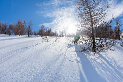 Freeride