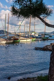 La Seyne-sur-Mer.