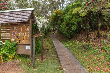 Ile de La Réunion