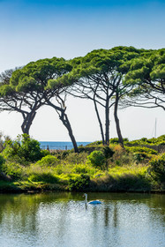 Lérins Sainte-Marguerite