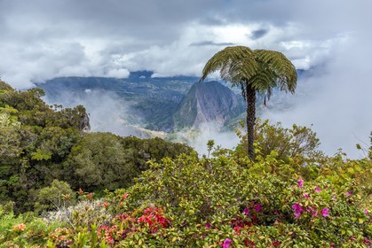 Ile de La Réunion