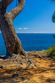 Lérins Sainte-Marguerite 2024
