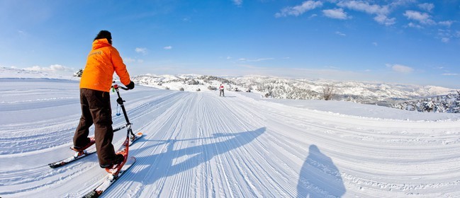 Trikke Skki
