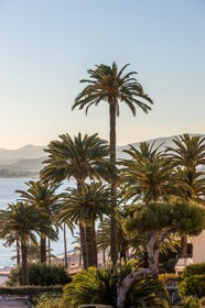 Cannes vue de l'Hôtel Radisson Blu 1835