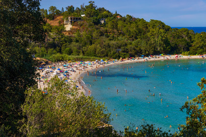 Canella