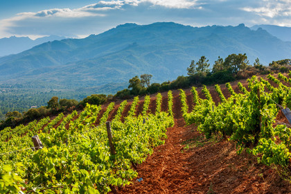 Domaine de Torracia