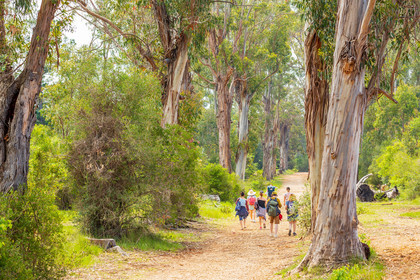 Lérins Sainte-Marguerite