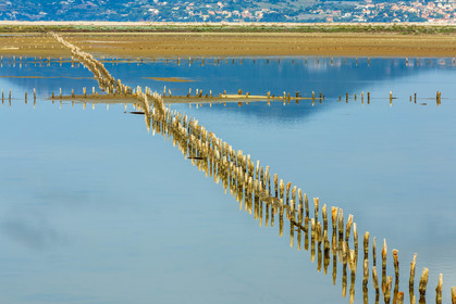 Salins d'Hyères
