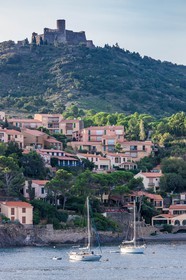 Collioure