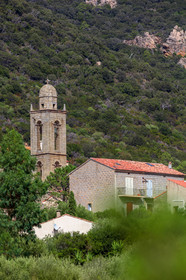 Monaccia d'Aullène