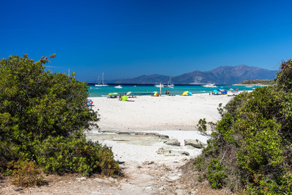 Saleccia