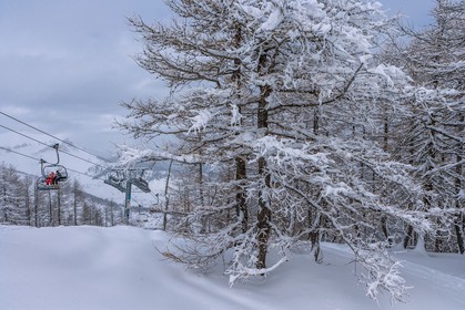 Auron