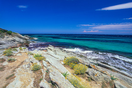 Saleccia