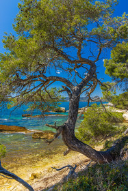 Lérins Sainte-Marguerite 2024