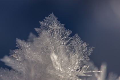 Cristaux de neige