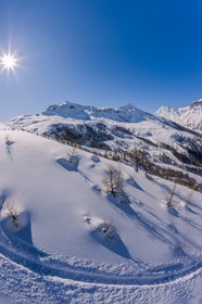 Auron