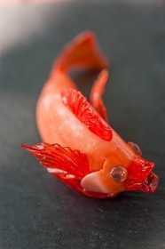 Canobbio