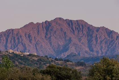 Aregno