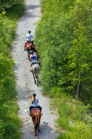 Equitation