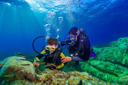 Plongée-sous-marine