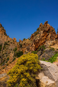 Calanche