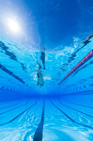 Natation
