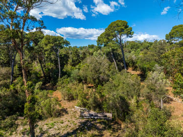 Lérins Sainte-Marguerite 2024