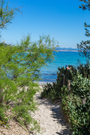 Porquerolles