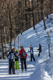 Ski-de-fond
