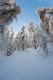 Le Seignus d'Allos