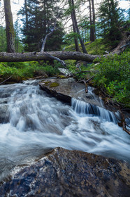 Torrent