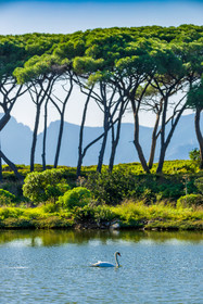 Lérins Sainte-Marguerite