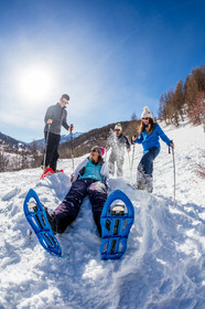 Raquettes à neige