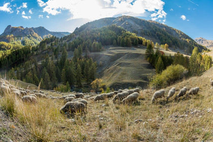 Col de la Bonette