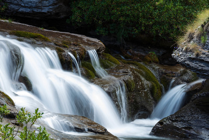 Torrent