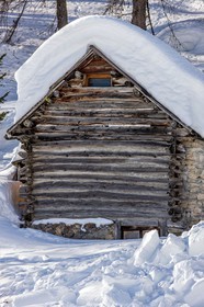 Auron