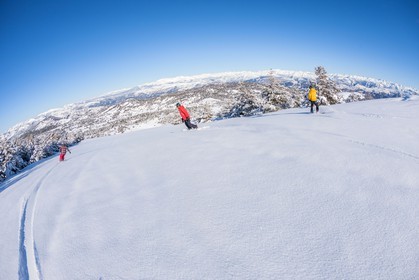 Snowboard