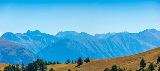 Auron