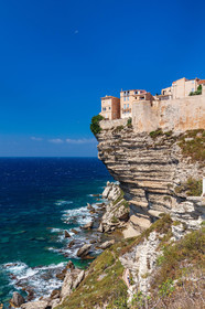 Bonifacio